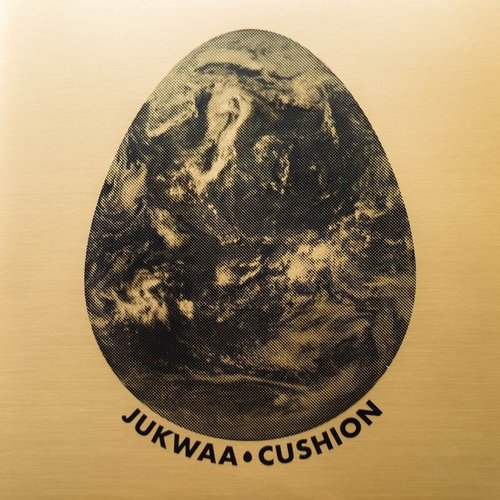 Cushion