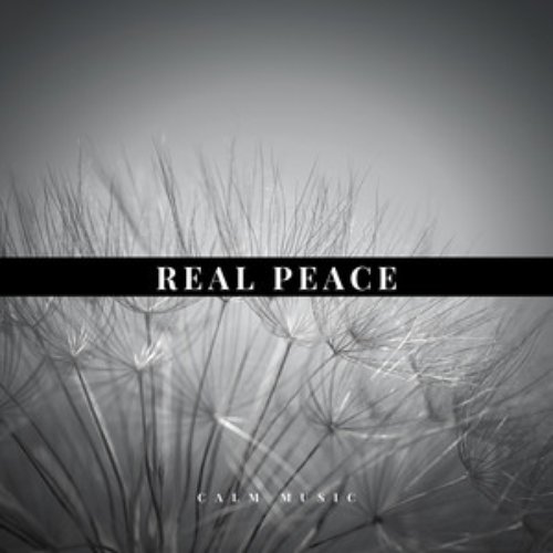 Peace Relax
