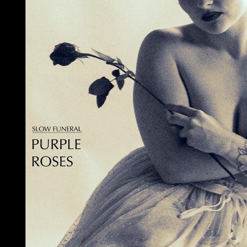 Purple Roses