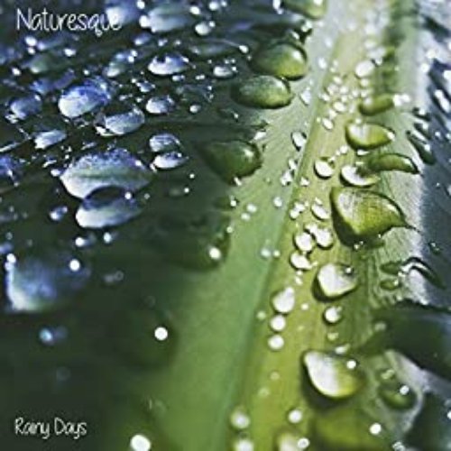 Rainy Days