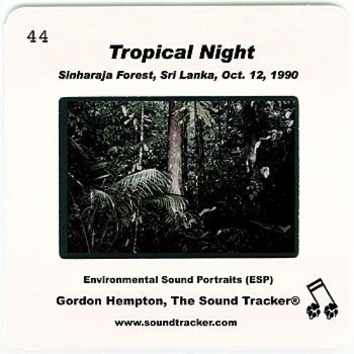 Tropical Night