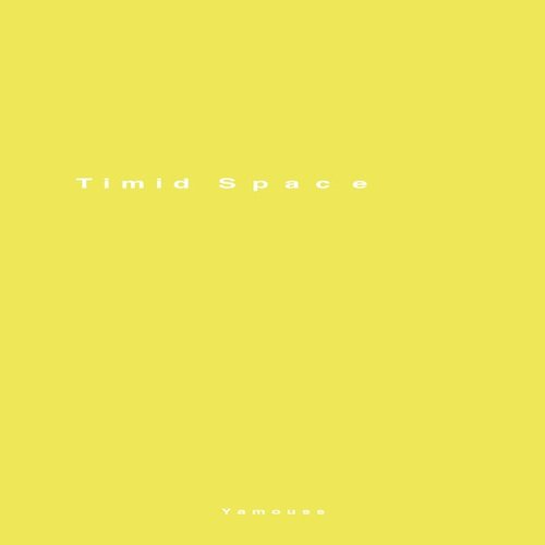 Timid Space