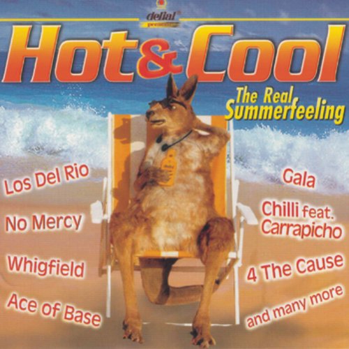 Hot & Cool - The Real Summer Feeling