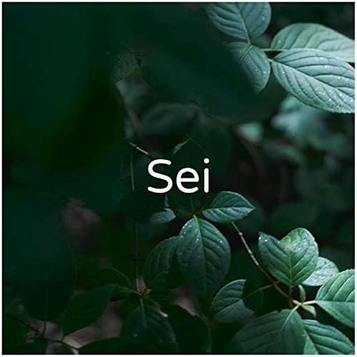 Sei