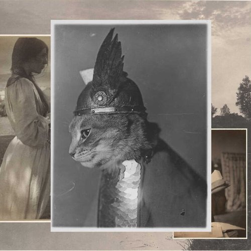 The Comet and the Cat