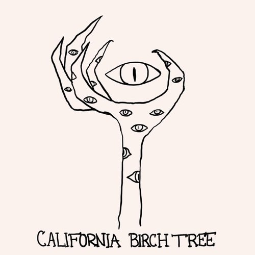 California Birch Tree