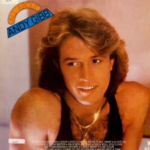 All About Andy Gibb
