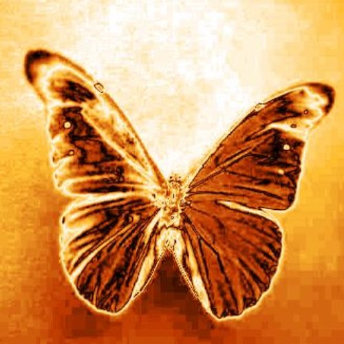 Galactic Butterfly