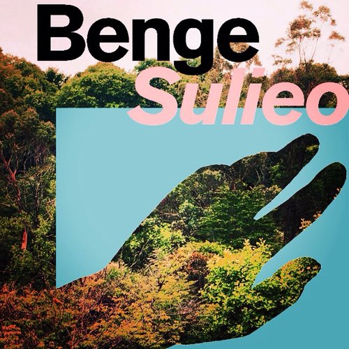 Sulieo