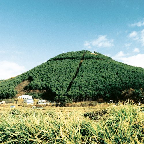 股旅