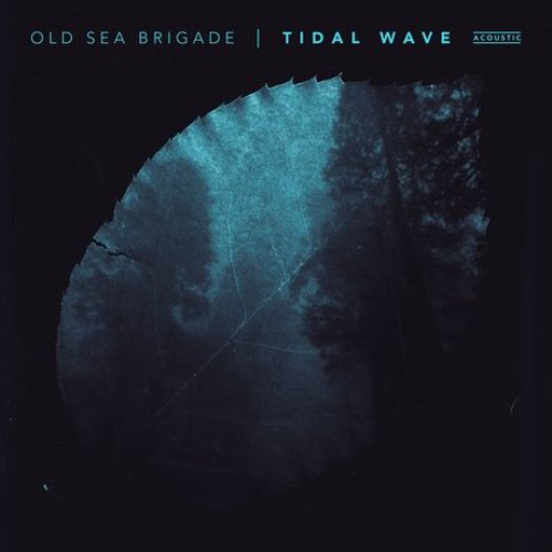 Tidal Wave (Acoustic)