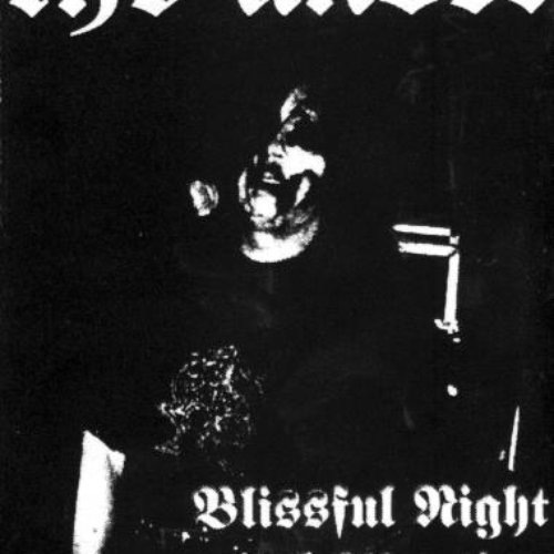Blissful Night of Abortion