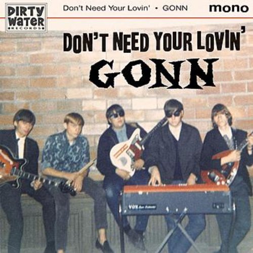 Don't Need Your Lovin'