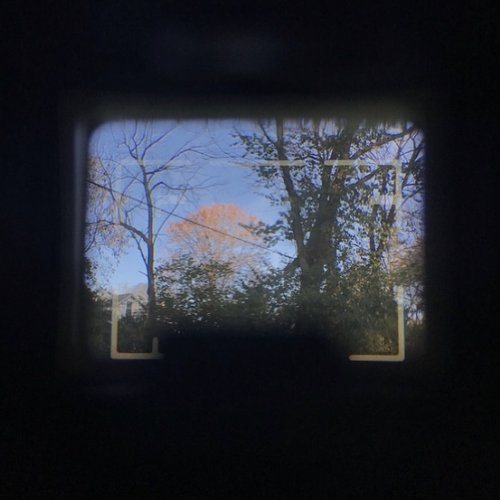 Friends & Family - Single