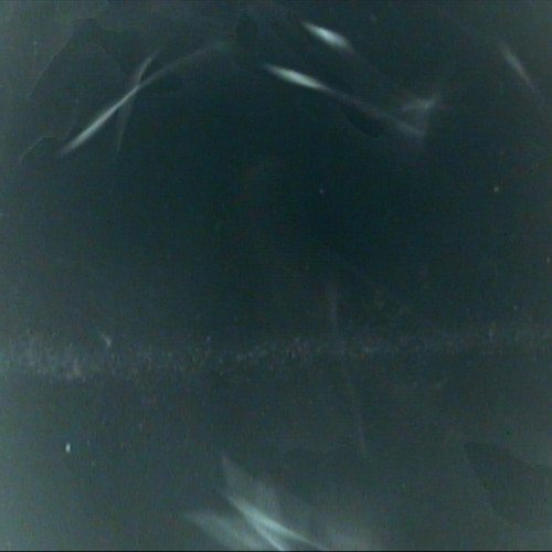 You Dont Fucking Know Me - EP