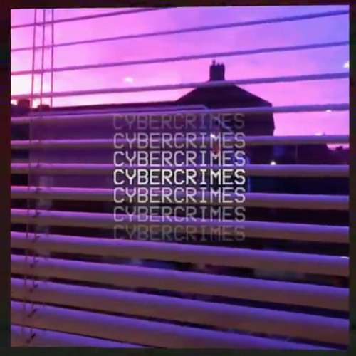 Cybercrimes - Single