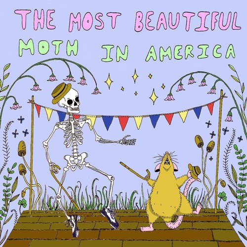 The Most Beautiful Moth in America