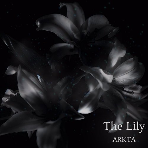 The Lily