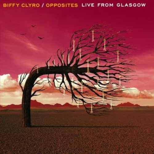 Opposites (Live From Glasgow)