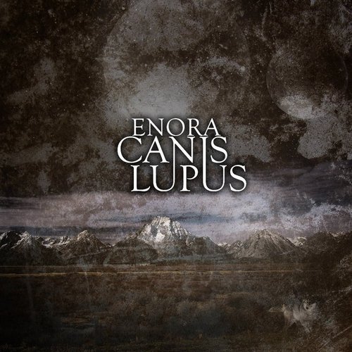 Canis Lupus
