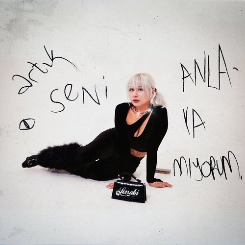 Anlayamıyorum
