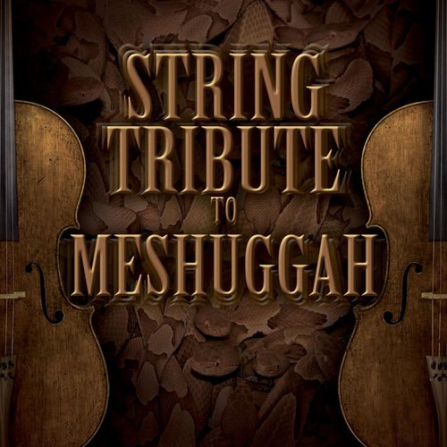 String Tribute to Meshuggah