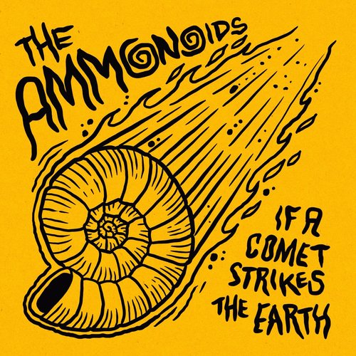 If a Comet Strikes the Earth