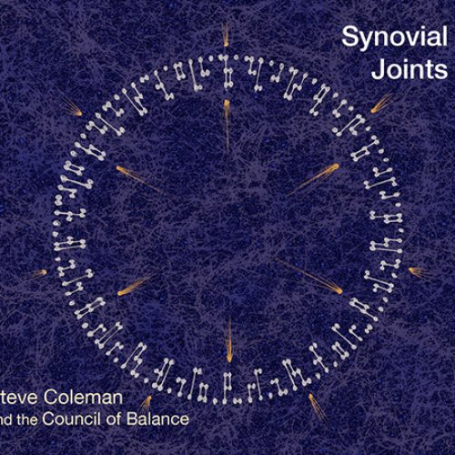 Synovial Joints