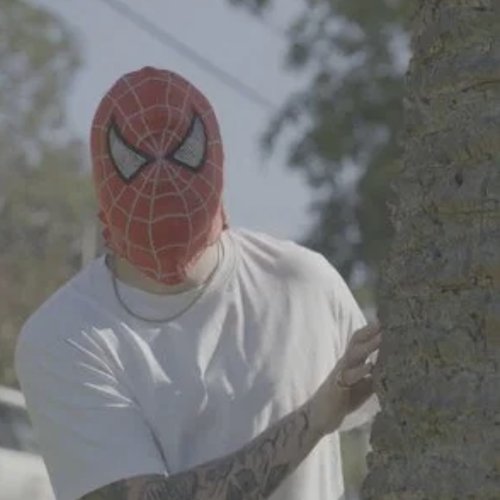 Spider-Man
