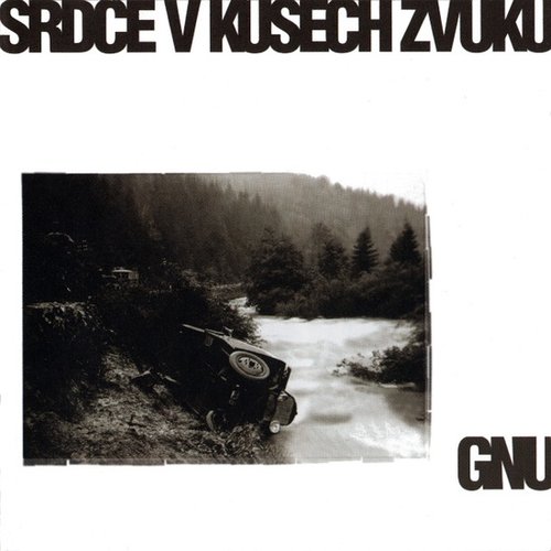 Srdce v kusech zvuku