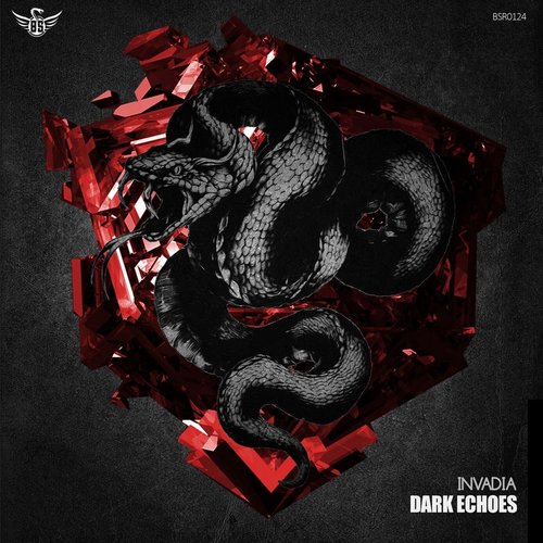 Dark Echoes
