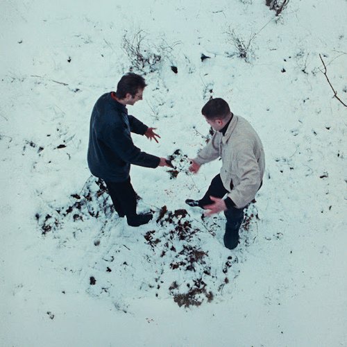 Pine Barrens