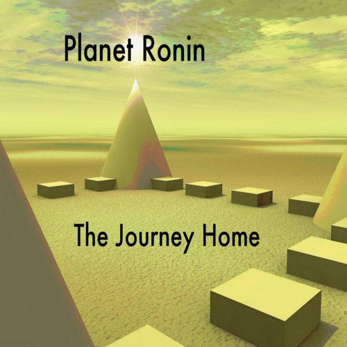 The Journey Home