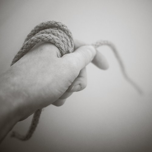 SONANCE/TORPOR SPLIT