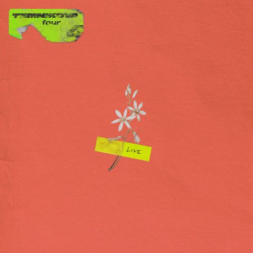 TEMNIKOVA 4 (Live) [Explicit]