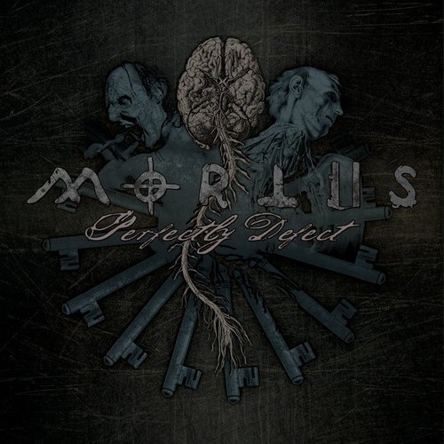 Perfectly Defect (Extended Version)