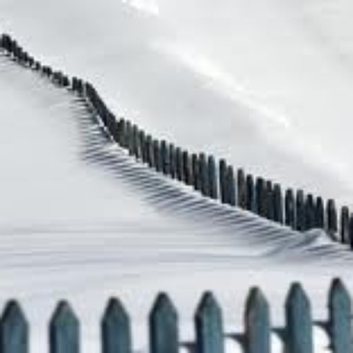 The black snow in gras   ModFloyd