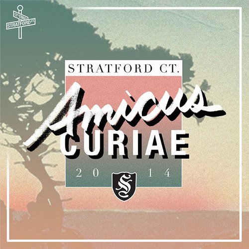 AMICUS CURIAE