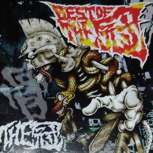 BEST OF THE冠「骨」