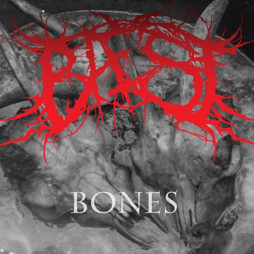Bones