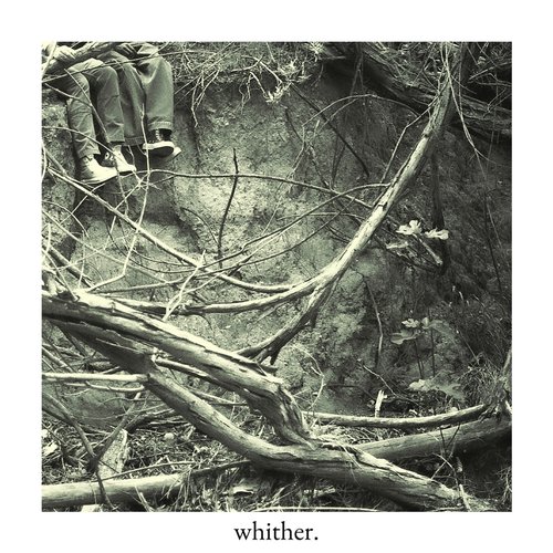 wilted