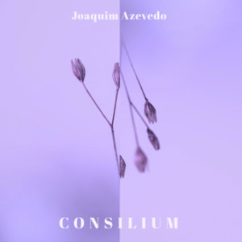 Consilium