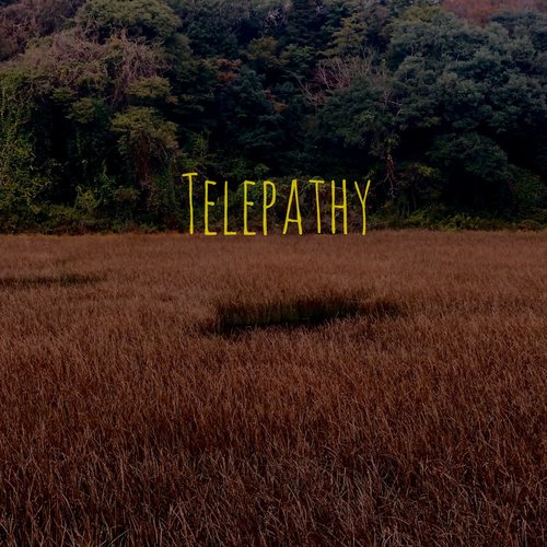 Telepathy
