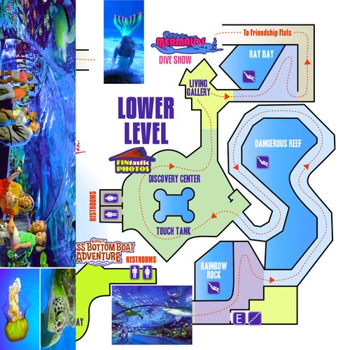 Ripley's Aquarium