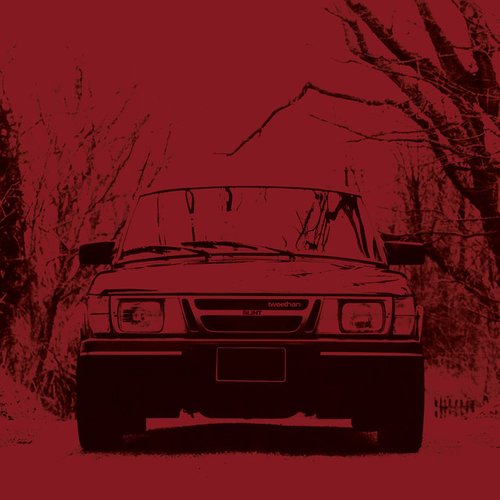 Hippie Chick - tweethan mix