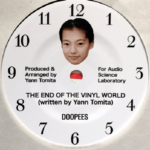 The End Of The Vinyl World