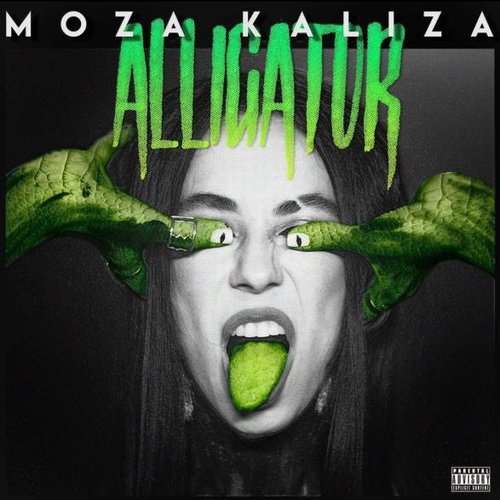 Alligator
