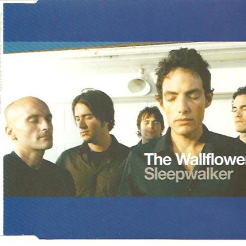 Sleepwalker