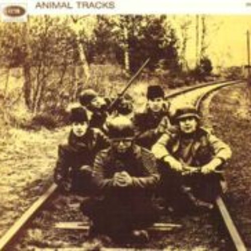 Animal Tracks [UK]