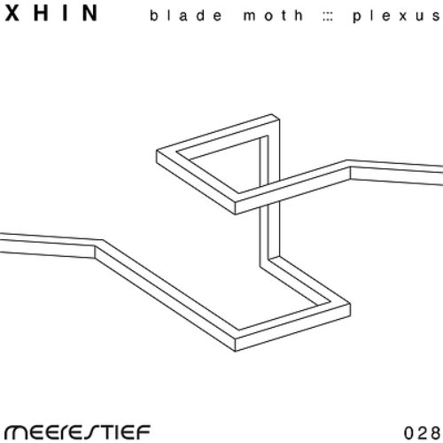 Plexus / Blade Moth